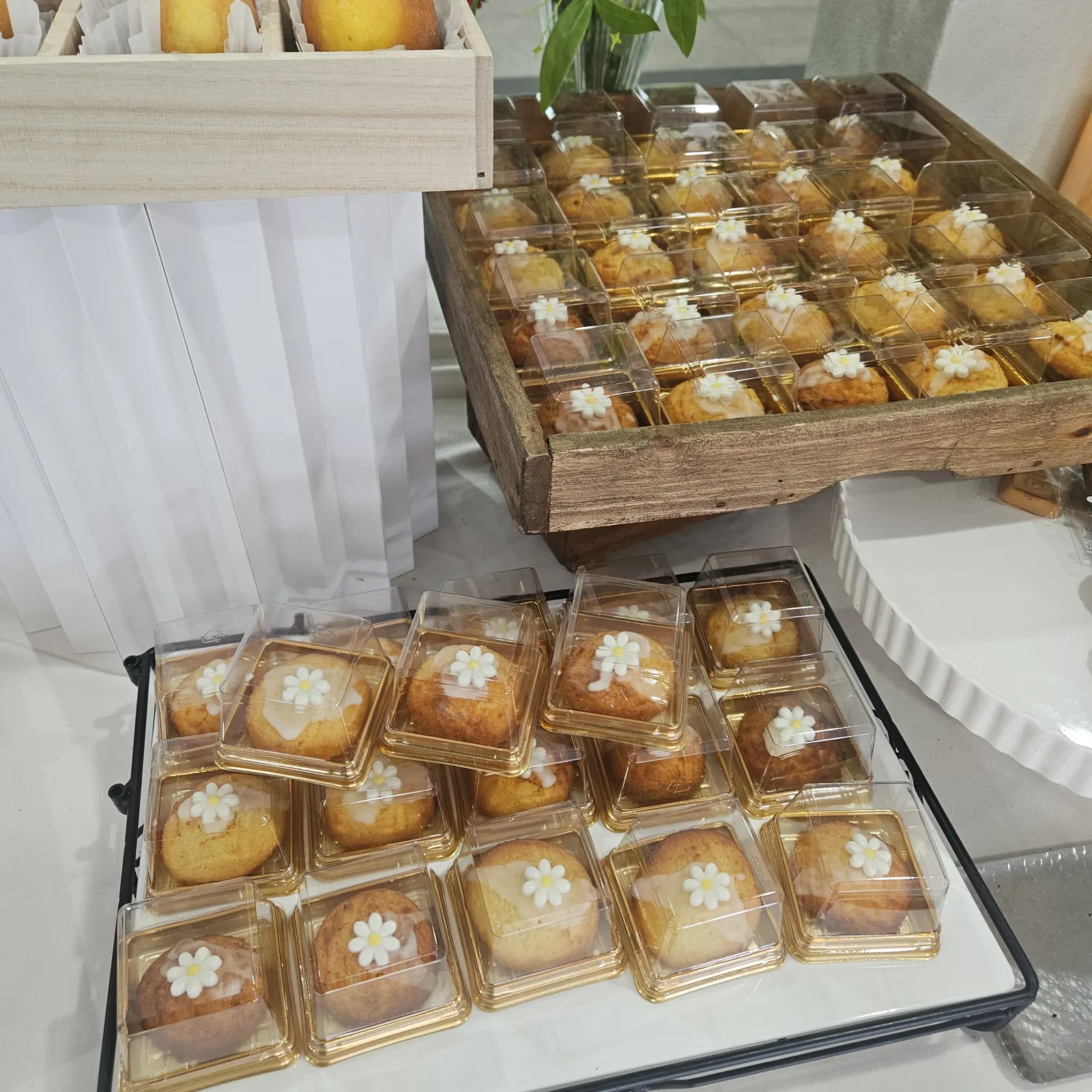 건국대학교 국제학술대회 케이터링 쿠키 패키지